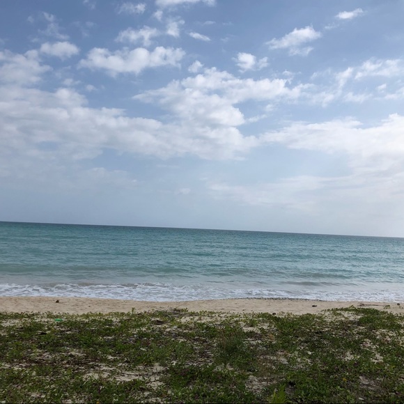 Meet your Posher, Layla - Picture 1 of 1